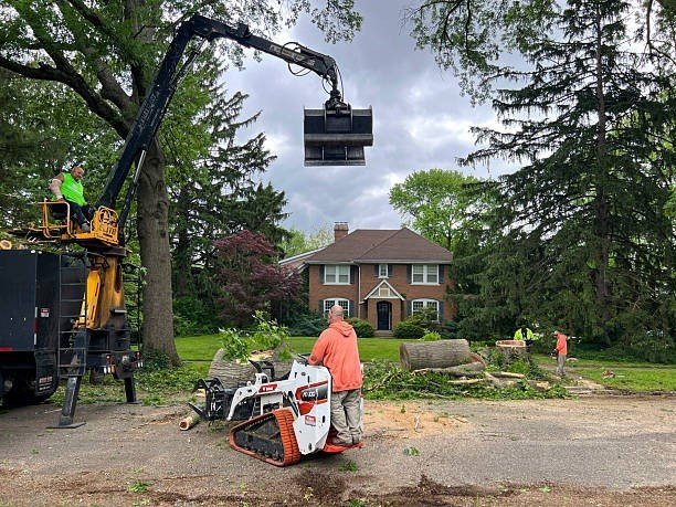 Professional tree trimming service in Akron with crew pruning branches near a residential home