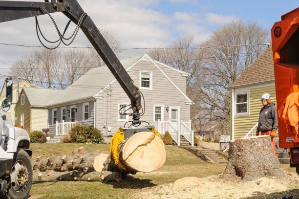 Emergency tree removal crew cutting a storm-damaged tree near a residential home in Akron, Ohio