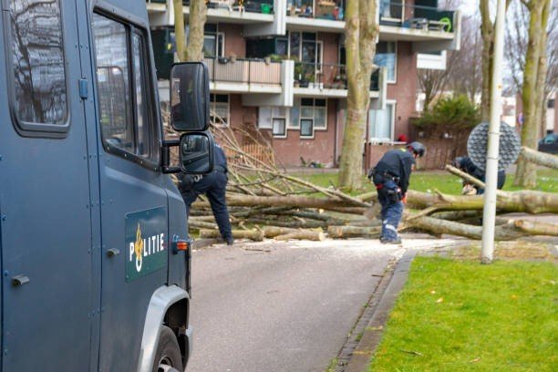 Emergency tree service crew removing a hazardous tree near a residential property using professional equipment