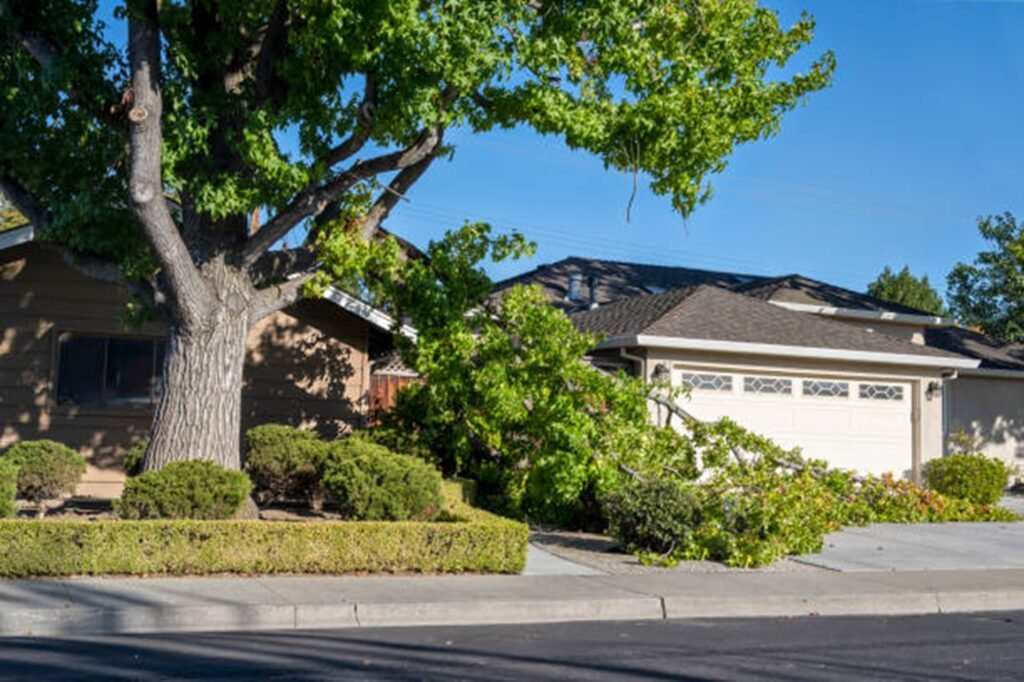 Tree service crew removing storm-damaged tree debris from a residential yard in Akron, Ohio