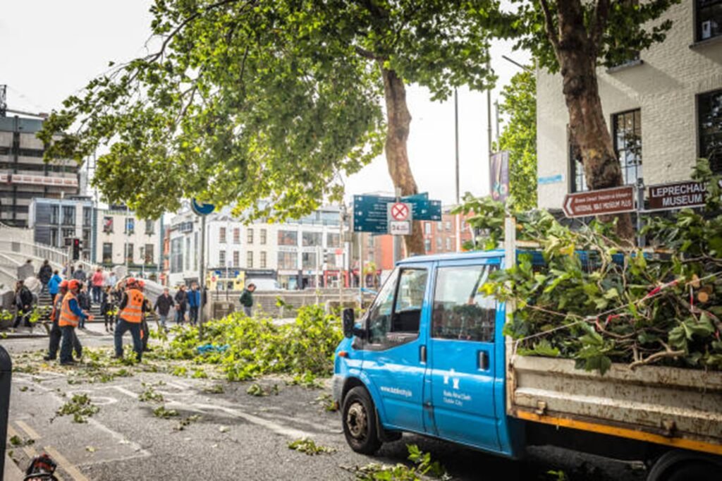Emergency tree removal completed and driveway cleared in Richfield, Ohio