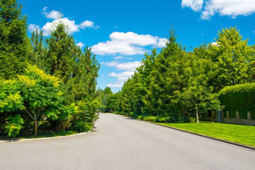 Tree service crew working on residential property in Richfield, Ohio